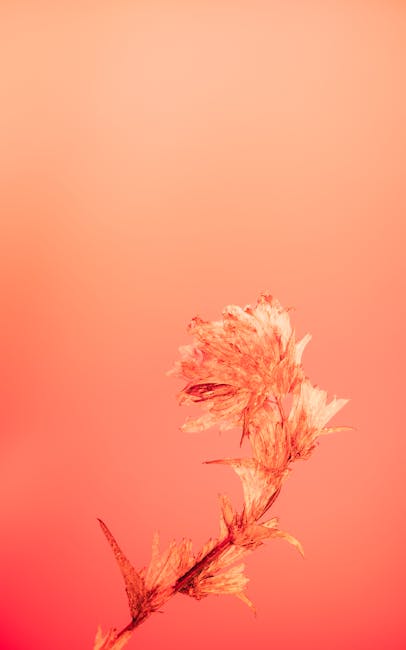 Kruchy lód – niewidzialne niebezpieczeństwo, które może zagrażać życiu