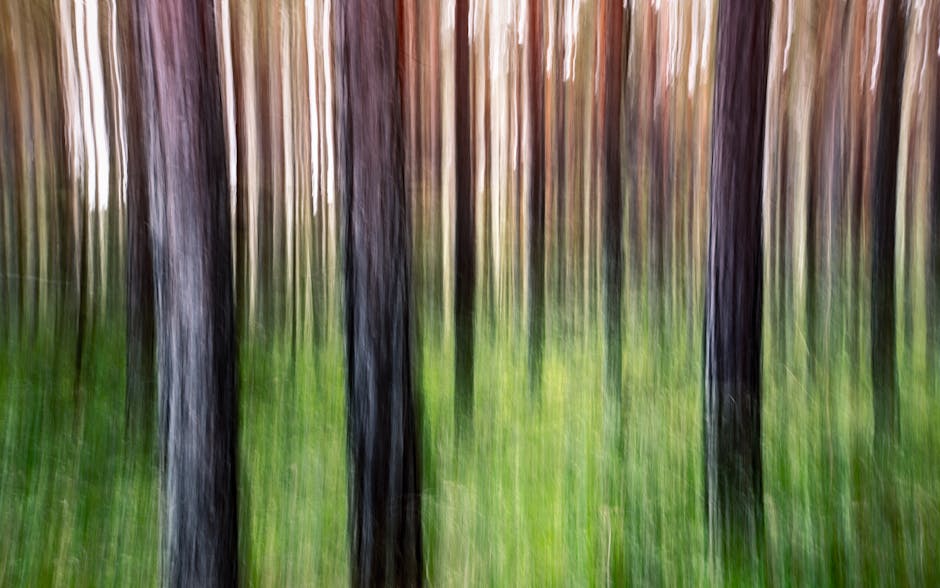 Mobilizacja PiS w Olsztynie: Wybory Prezydenckie 2025 w centrum uwagi