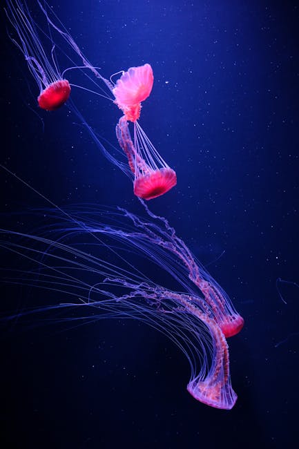 Granice Olsztyna pod lupą: Mieszkańcy Purdy domagają się referendum