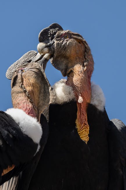 Olsztyńskie Ministerstwo Adopcji Pianin – Nowa inicjatywa dla miłośników muzyki i ekologii