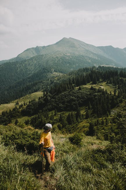 Olsztyn w walce z narkotykami: Aresztowanie handlarzy to tylko wierzchołek góry lodowej