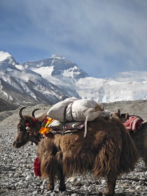 Olsztyńskie oszustwa gospodarcze: jak 34-latek wyłudził setki tysięcy złotych?