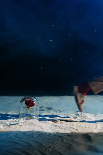 „Skarpetki z Olsztyna: Niezwykłe historie z życia codziennego w Teatrze Lalek”