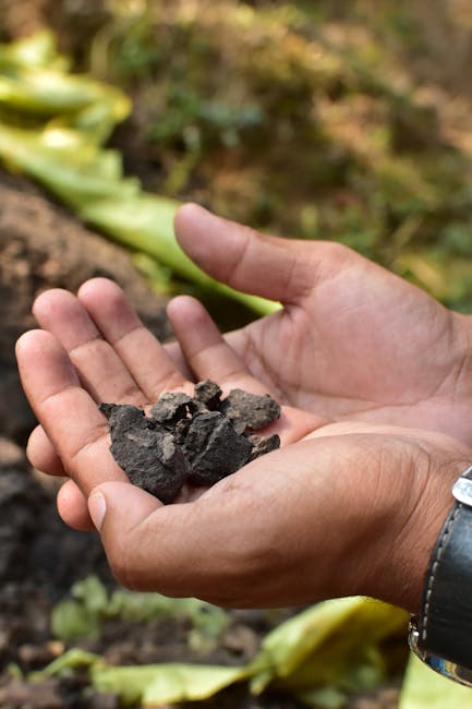 Olsztyńska wylotówka odkrywa tajemnice przeszłości – zakończono badania archeologiczne