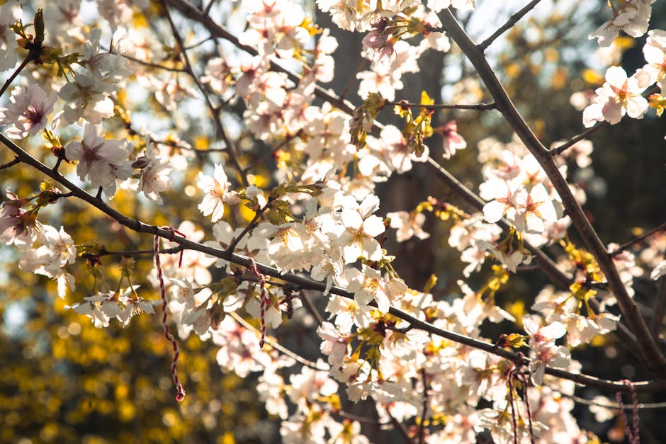 Burmistrz Reszla: Jak obniżka podatków może ożywić turystykę i przywrócić magię czarownic
