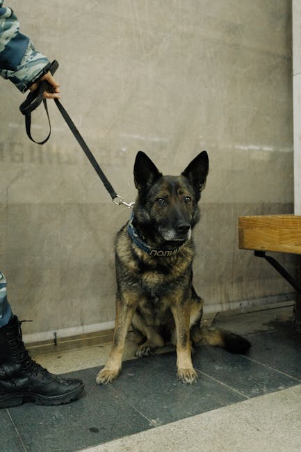 Szkolenie dla liderów: Jak olsztyńska policja podnosi standardy zarządzania