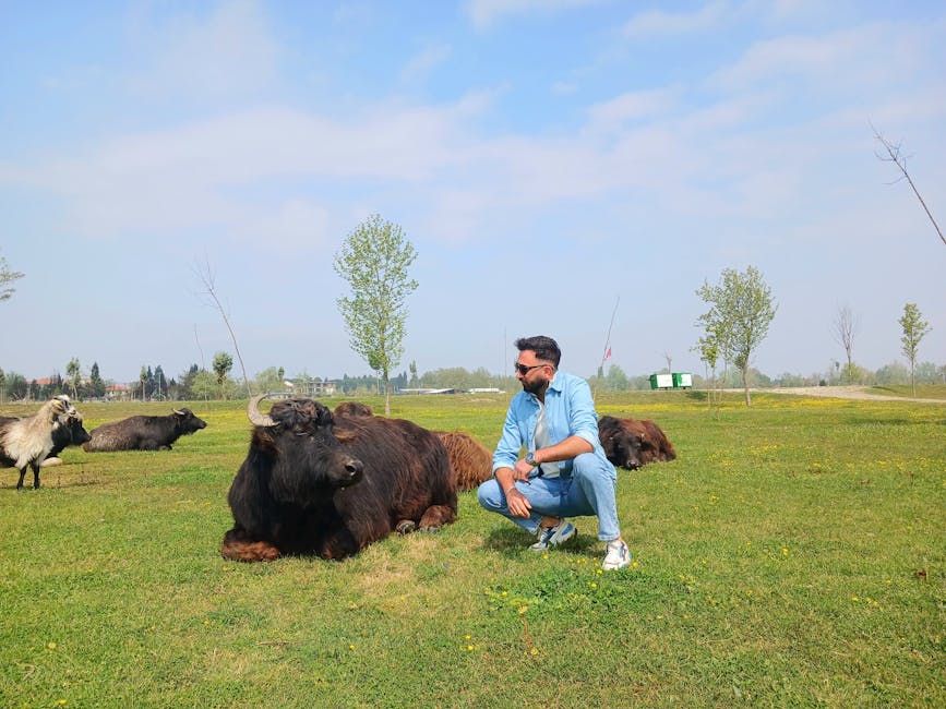 Jak uniknąć kradzieży: proste zasady, które mogą ochronić twoje mienie