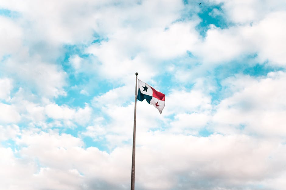 Patriotyzm w Nowoczesnym Wydaniu: Dzień Flagi w Oczach Polityków PO