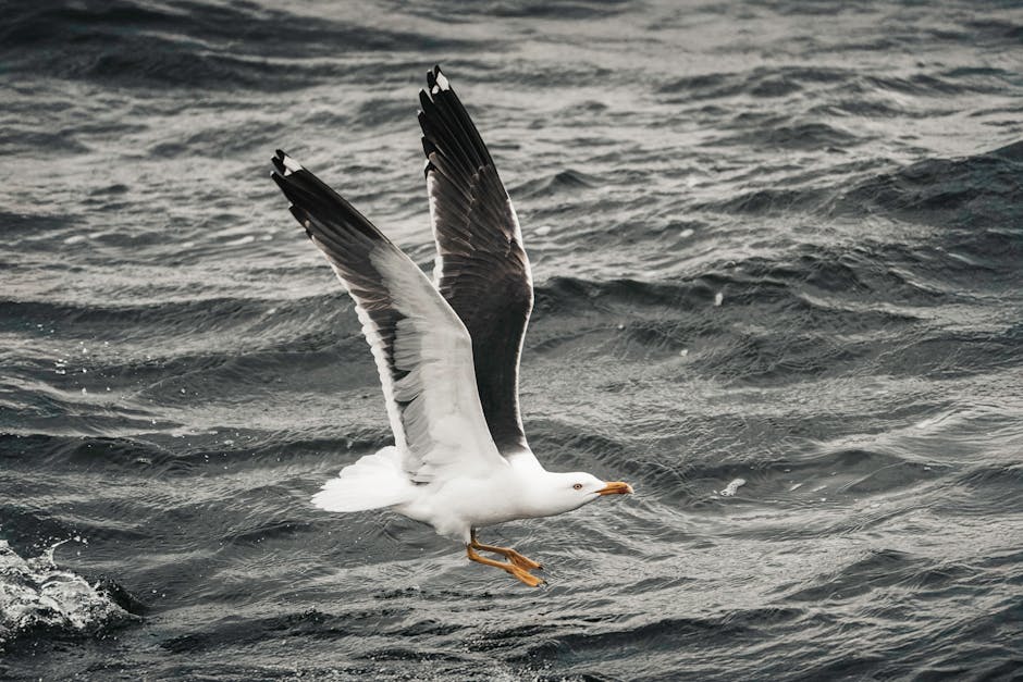 Olsztyn w cieple – MPEC zaprasza na wyjątkowy dzień otwarty!