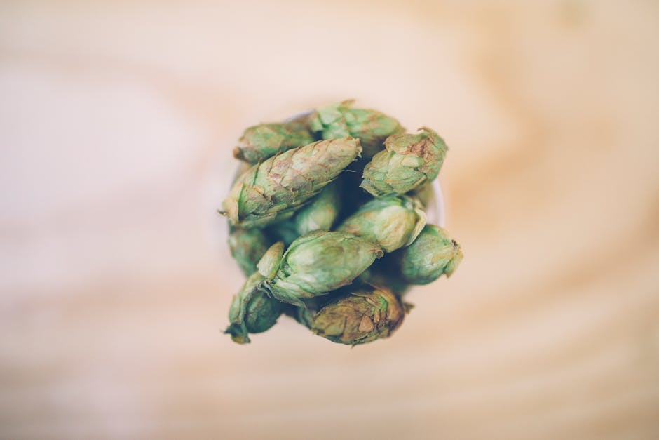 Kontrowersyjna Przebudowa Kamienicy przy Partyzantów: Jak Historia Spotyka Nowoczesność