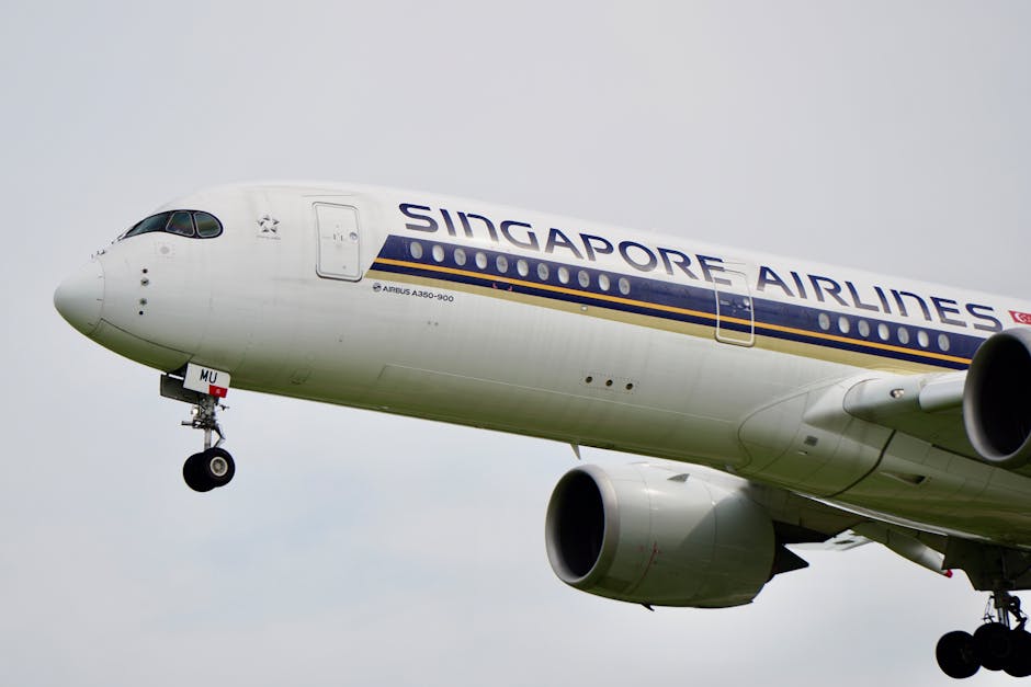 Olsztyn na drodze do powiększenia – Rada Miasta zaakceptowała nową granicę