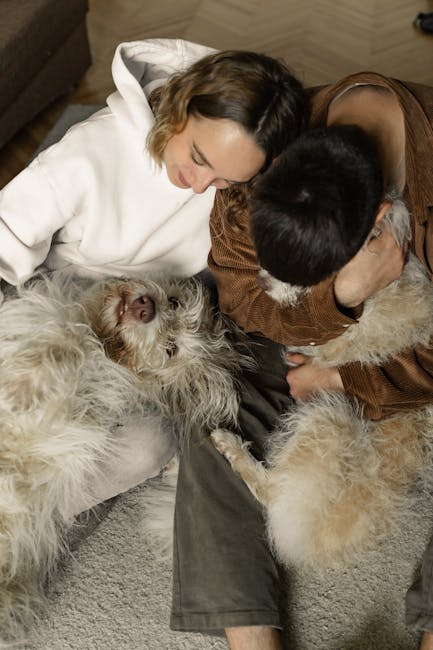 Grunty pod budowę Tarczy Wschód głównie z KOWR i Lasów Państwowych, prywatni właściciele na dalszym planie