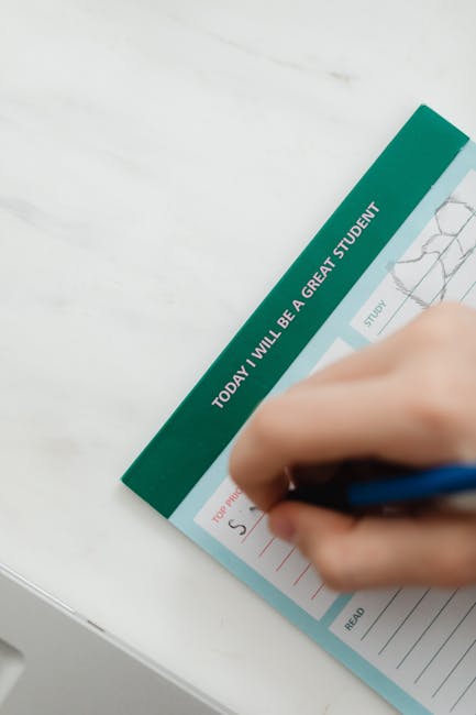 Trenerzy siatkarskich mistrzyń Europy do lat 16 z Olsztyna spotkają się z kibicami przy Alei Sław Sportu