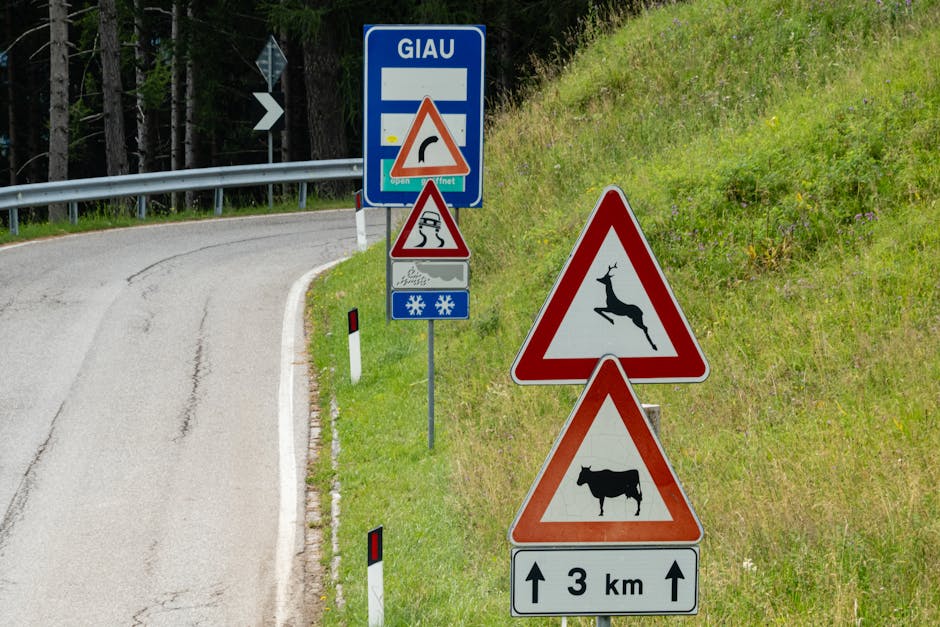 Ponad 14 tysięcy kierowców skontrolowanych podczas akcji „trzeźwość” na Warmii i Mazurach, zatrzymano dziesiątki praw jazdy