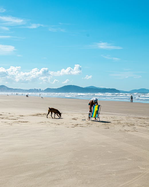 Zarobki i majątki dyrektorów placówek woj. warmińsko-mazurskiego w 2024 roku – kto spłaca kredyty, a kto lokuje miliony?