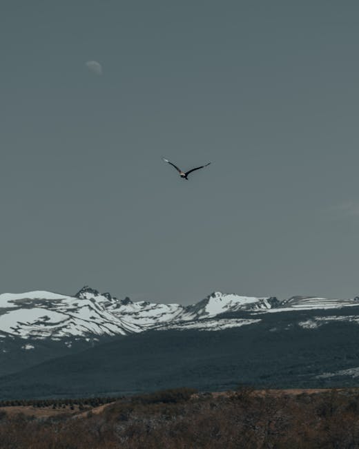 Wzrost przestępstw z nienawiści w regionie o 41% w pierwszej połowie 2025 roku – policja intensyfikuje działania