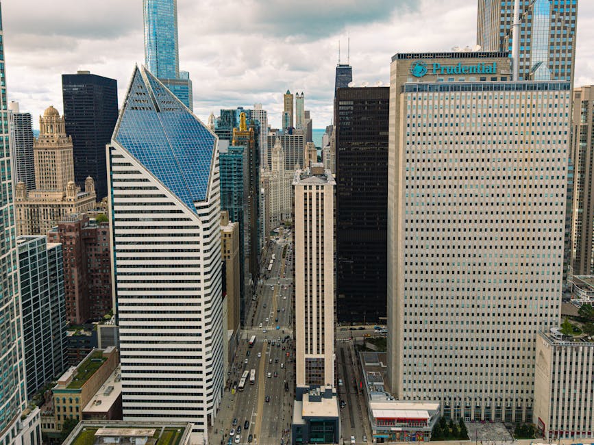 Ponad 40 bocianów spędzi zimę w Ośrodku Jelonki po uratowaniu przez pracowników