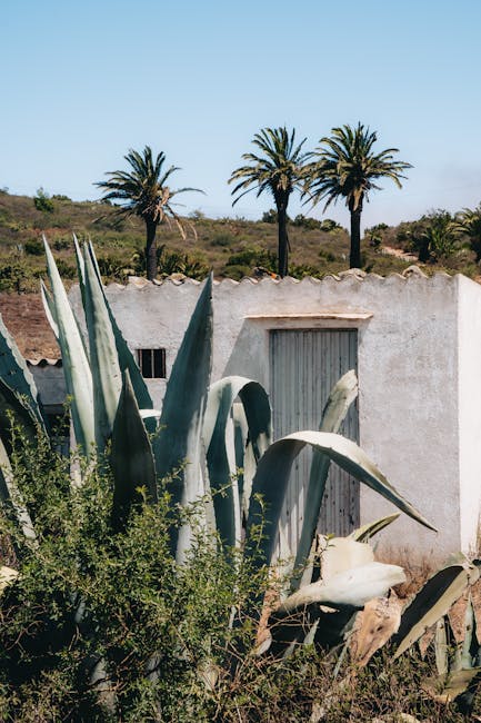 Mieszkańcy Olsztyna nie otrzymają bonu ciepłowniczego. MPEC nie spełnił kryteriów cenowych