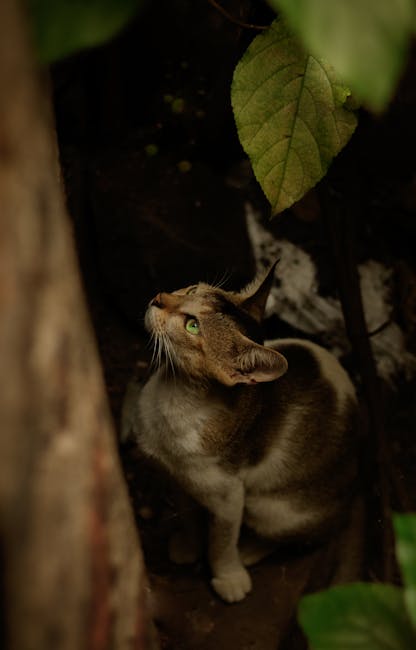 Policyjni wodniacy uratowali ranną sarnę nad lokalnym jeziorem – zwierzę trafiło pod opiekę weterynaryjną