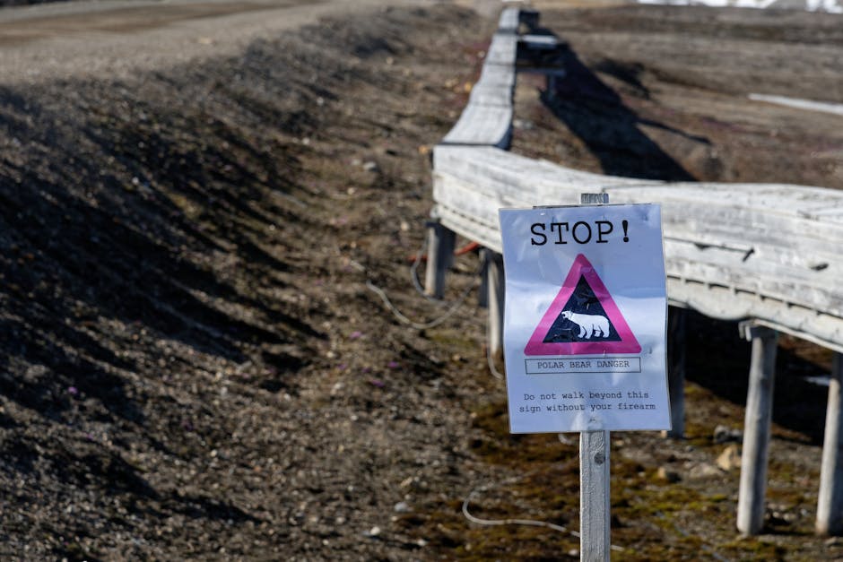 Uwaga na quishing! Bankowcy ostrzegają przed fałszywymi kodami QR w naszym regionie