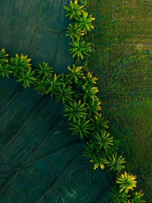 Straż Miejska w Olsztynie nasila kontrole: kilkanaście interwencji z powodu palenia odpadów