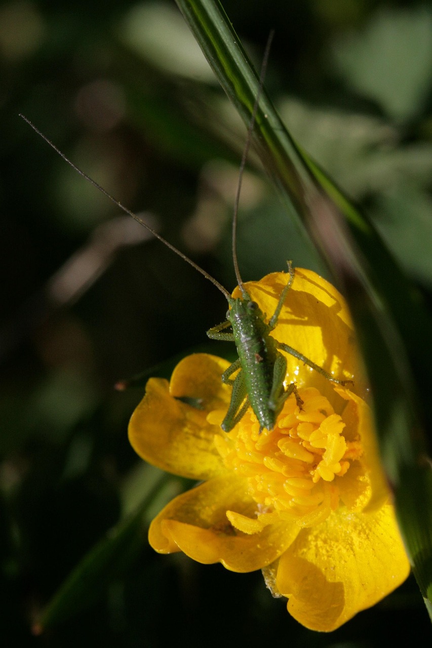 Stomil Olsztyn rozbił Drwęcę 9:2 w 15. kolejce — efektowne pożegnanie z kibicami
