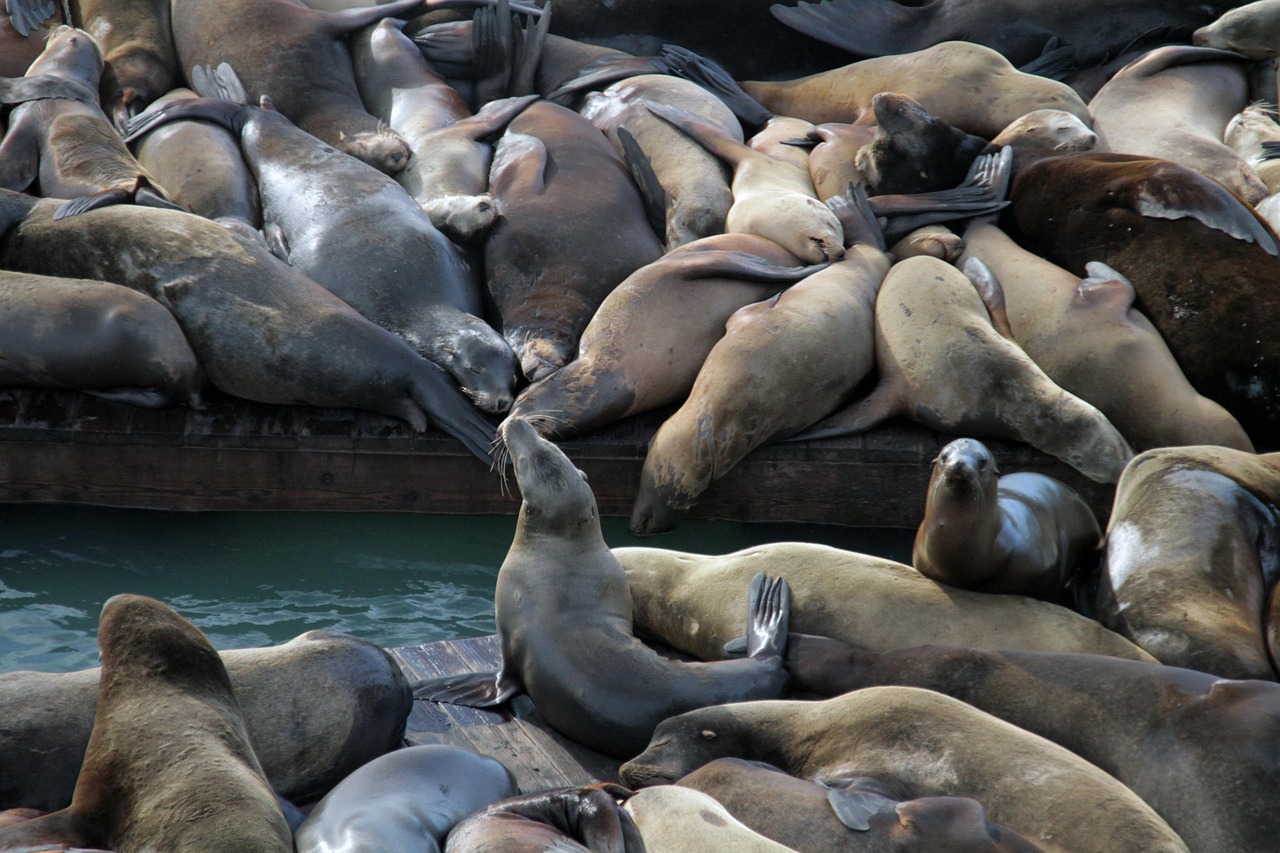 Nowe pomosty i punkty odpoczynku — milionowe wsparcie dla szlaków kajakowych i rowerowych w Olsztynie