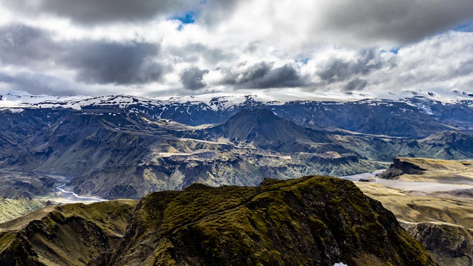 Cztery zatrzymane osoby po weekendowych kolizjach. Ranna pasażerka i zniszczone znaki przy ulicy Krasickiego