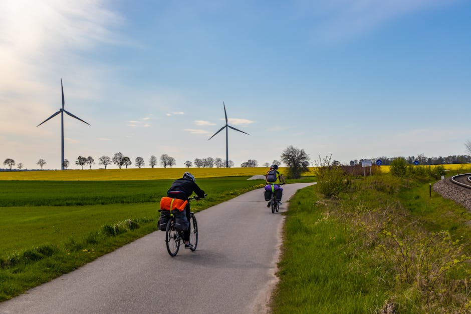 Olsztyn ogłasza konkurs na organizację ogólnodostępnych zajęć sportowo‑rekreacyjnych