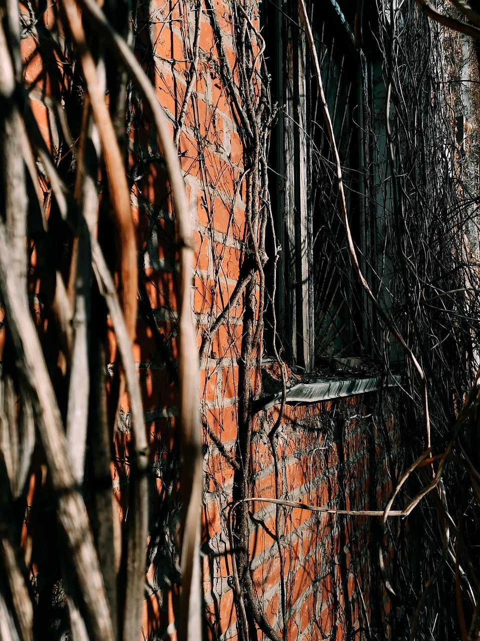 Olsztyński barbakan: miasto planuje przesunięcie tramwaju i przebudowę przestrzeni miejskiej