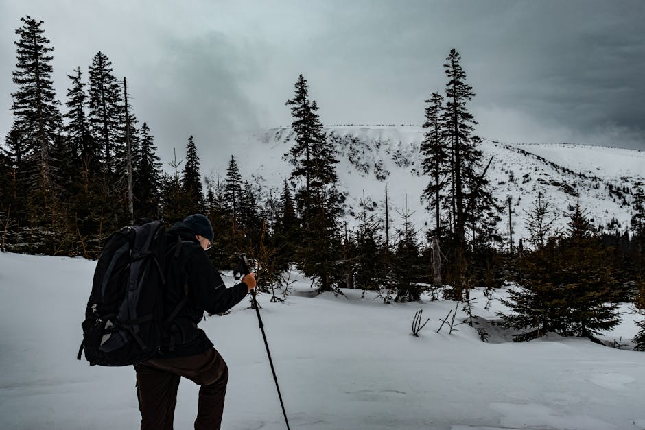 Zima na drogach: jak bezpiecznie poruszać się po zaśnieżonym regionie