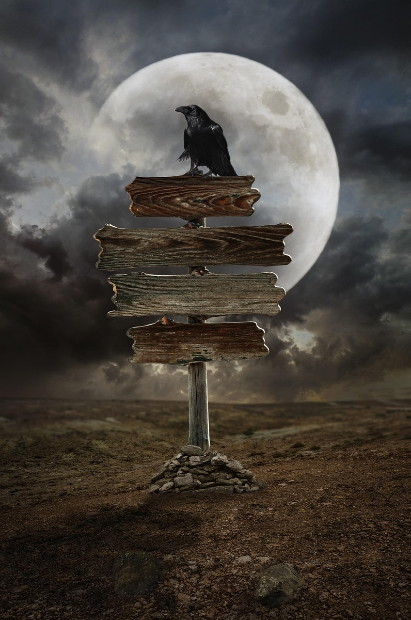 Komendant Główny Policji ogłosił terminy naborów na 2026 rok — co należy wiedzieć