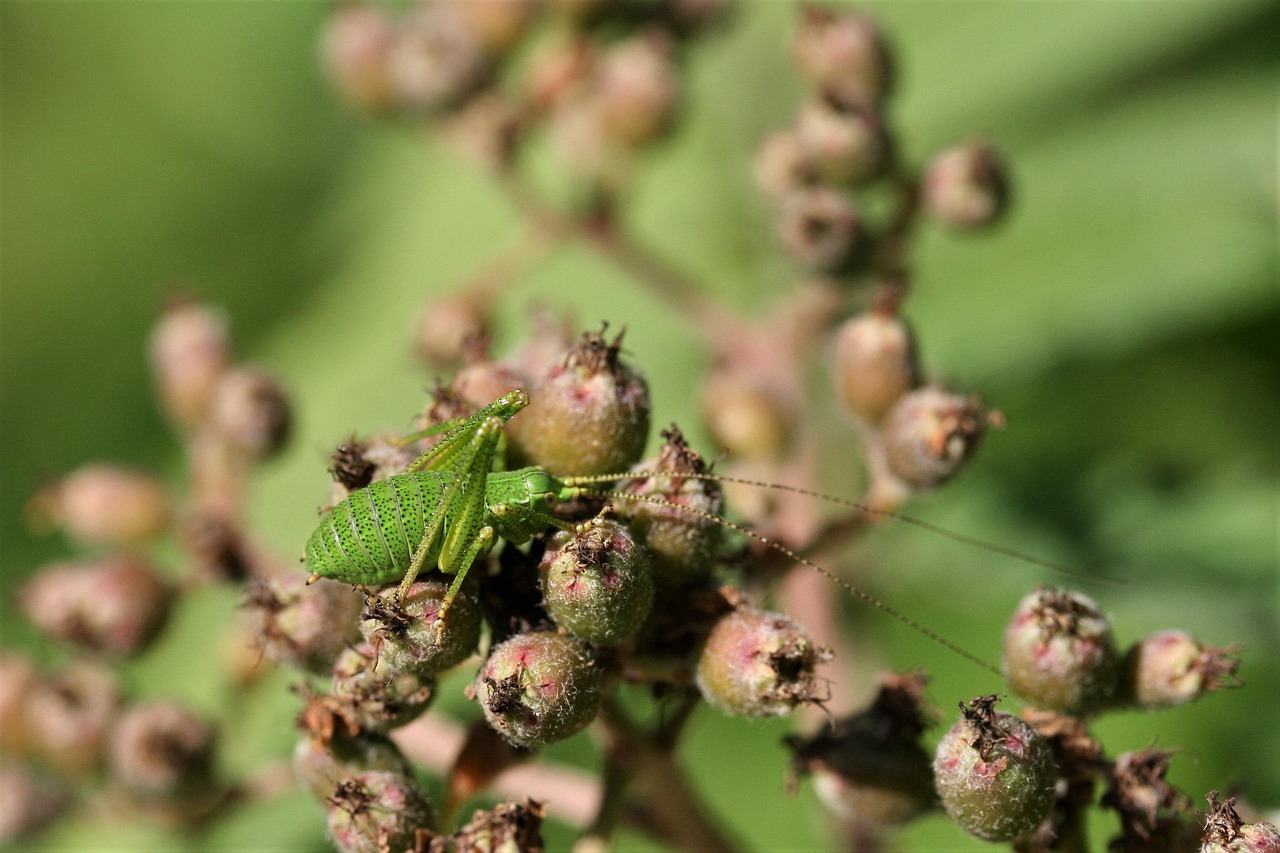 Głośne wsparcie kibiców z Olsztyna na finałach TAURON Pucharu Polski w Krakowie