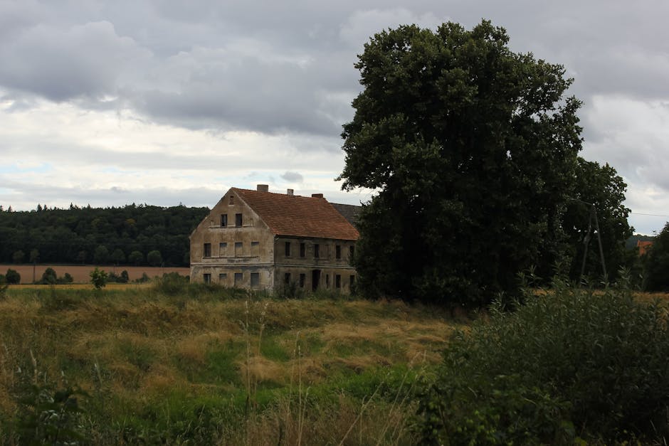 Akt oskarżenia po porzuceniu kota w wynajętym mieszkaniu w Biskupcu